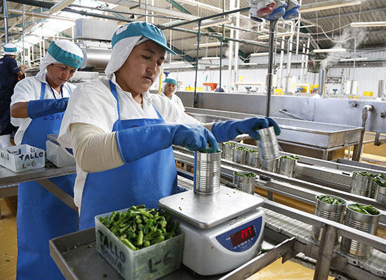 AGROINDUSTRIA