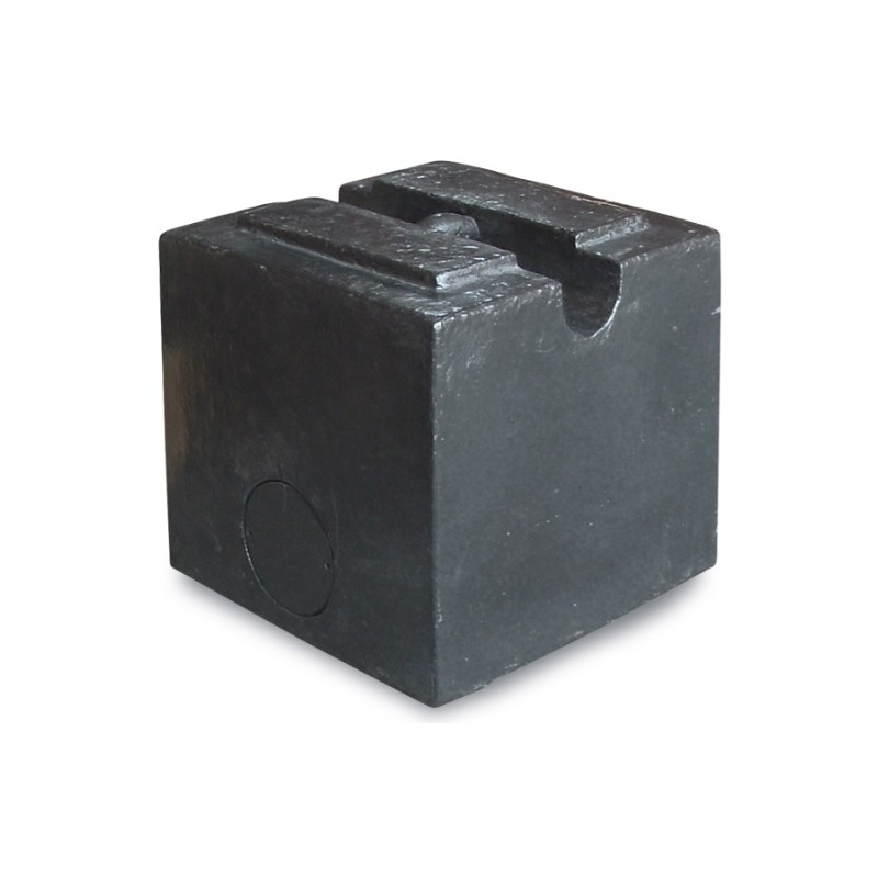 Pesa Patron M2 500/1000 kg