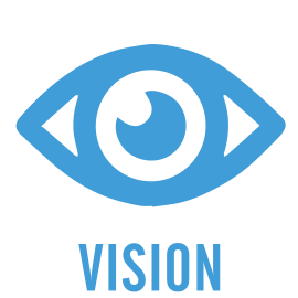 VISION